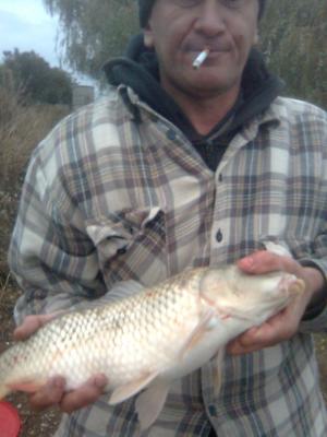 Прикрепленное изображение: Красная зорька.jpg